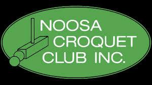 Noosa logo before