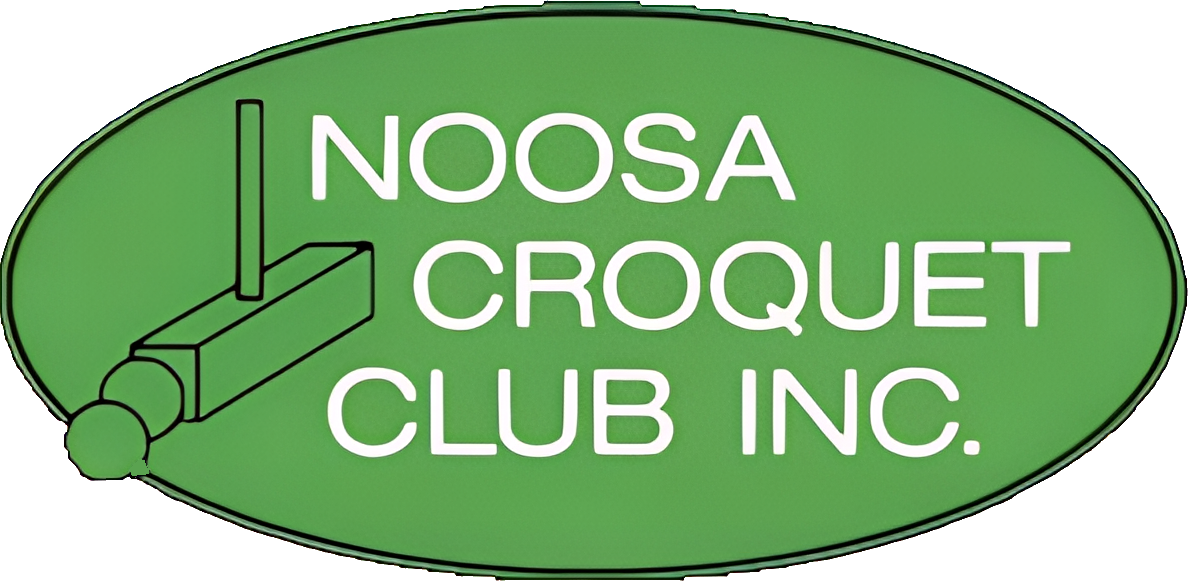 Noosa logo on off-white