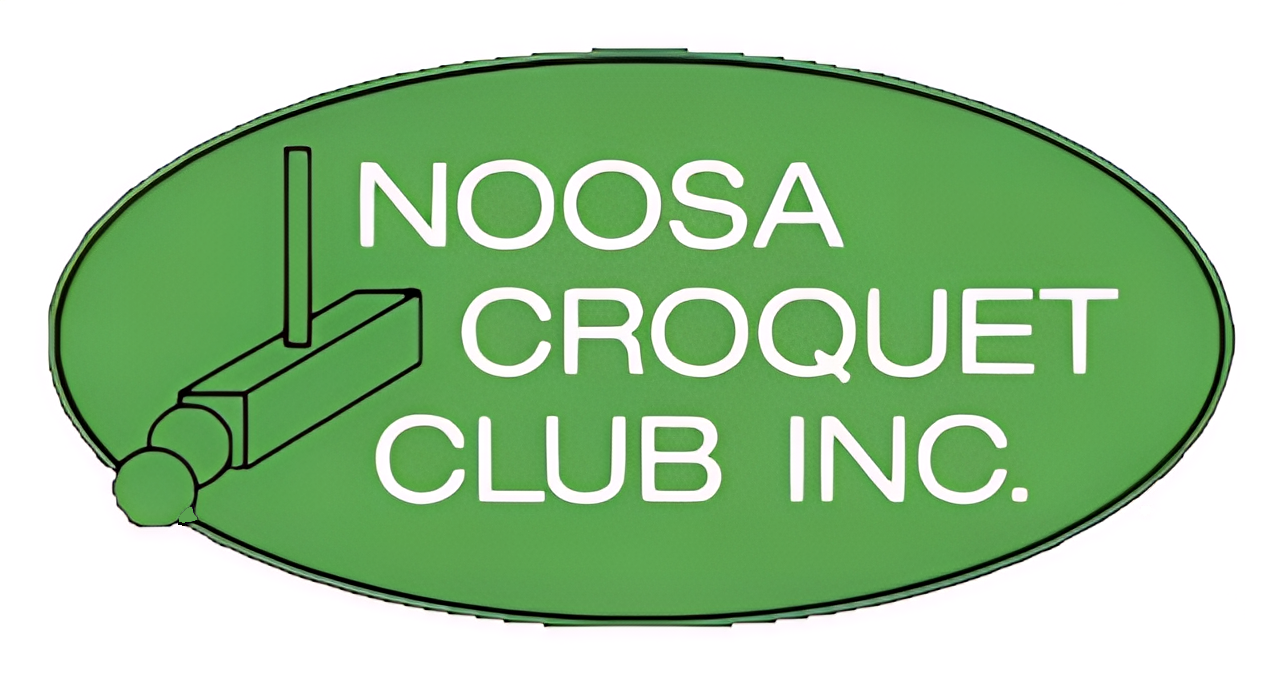 Noosa logo after