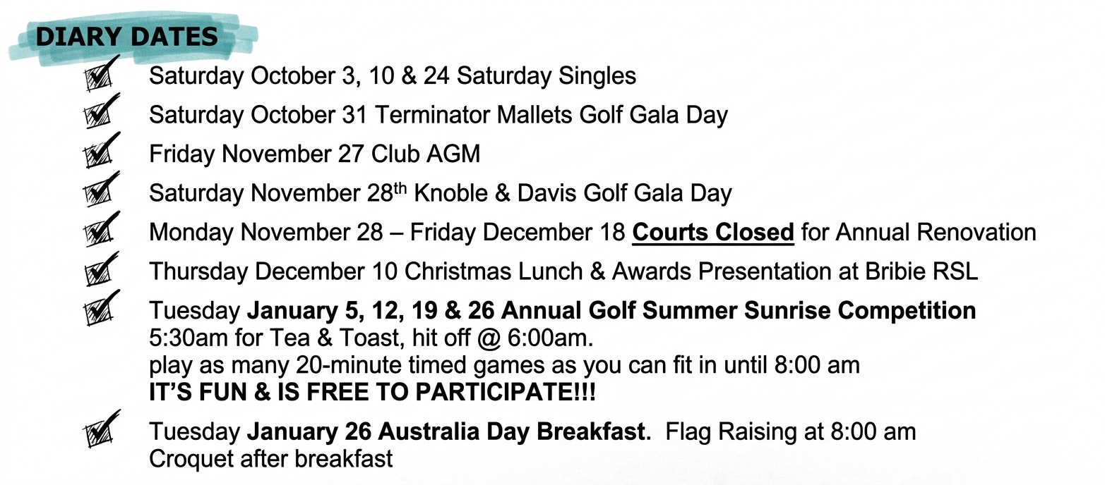 Ink drawing of the Diary Dates list from the newsletter, with the heading highlighted in teal.